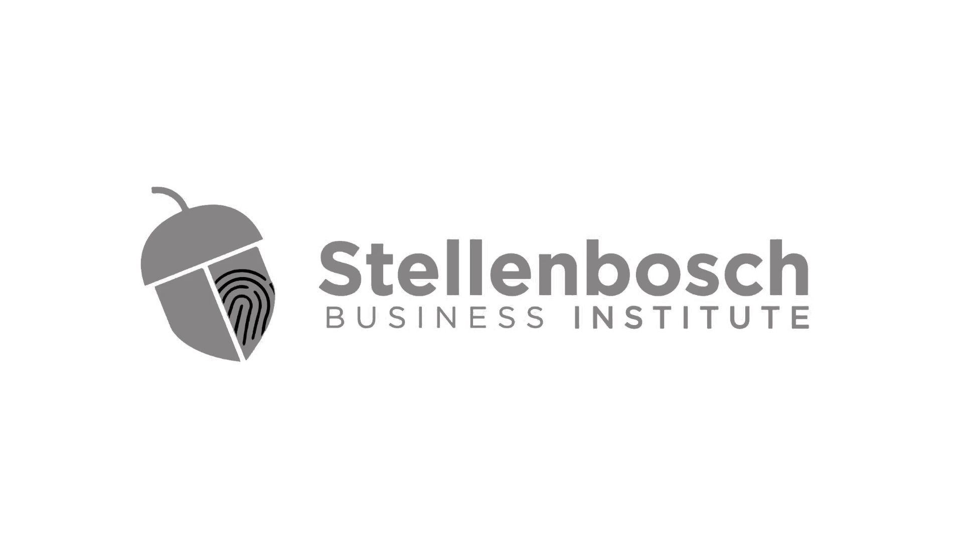 Stellenbosch Business Institute